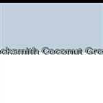 Locksmith Coconut Grove 